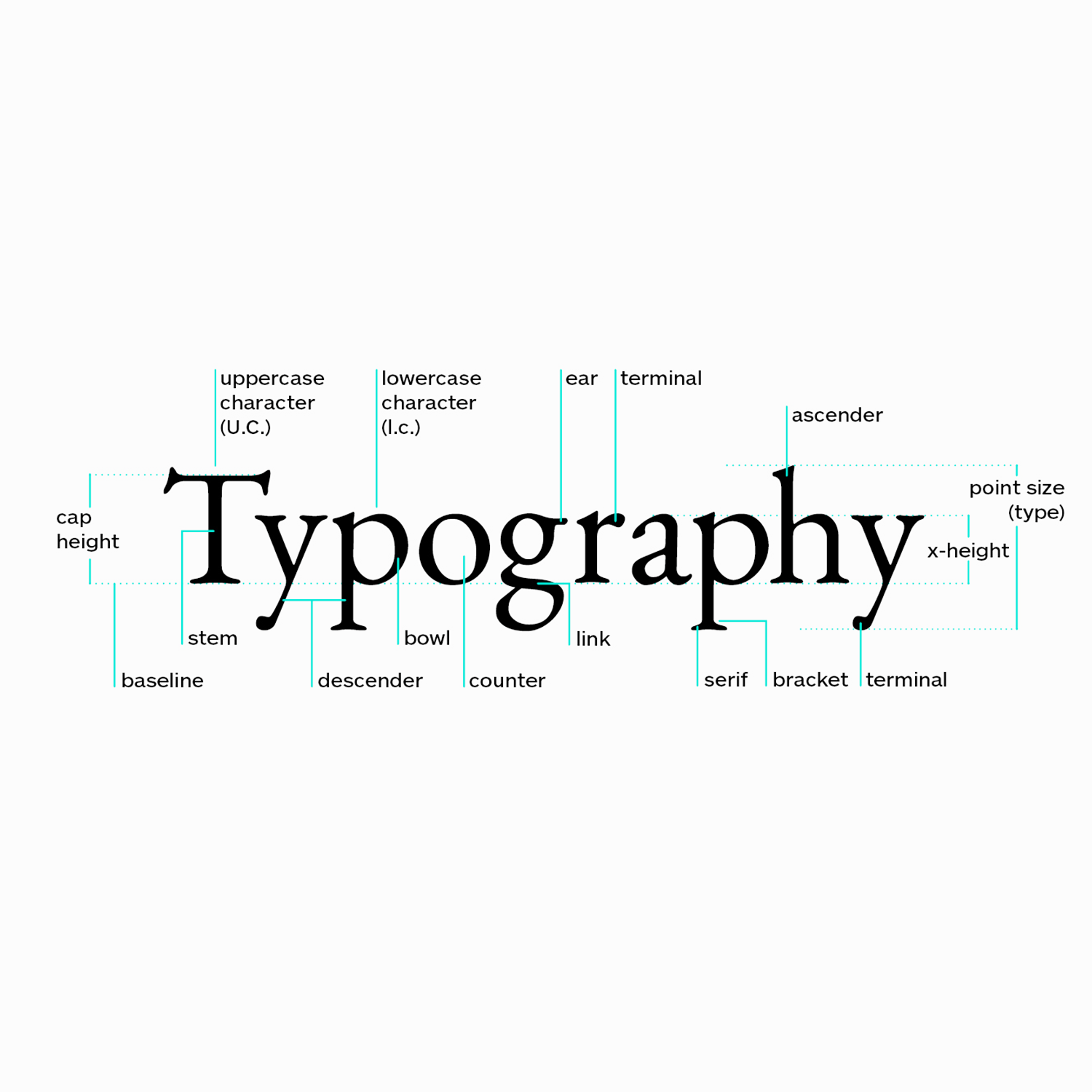 Typography Diagram